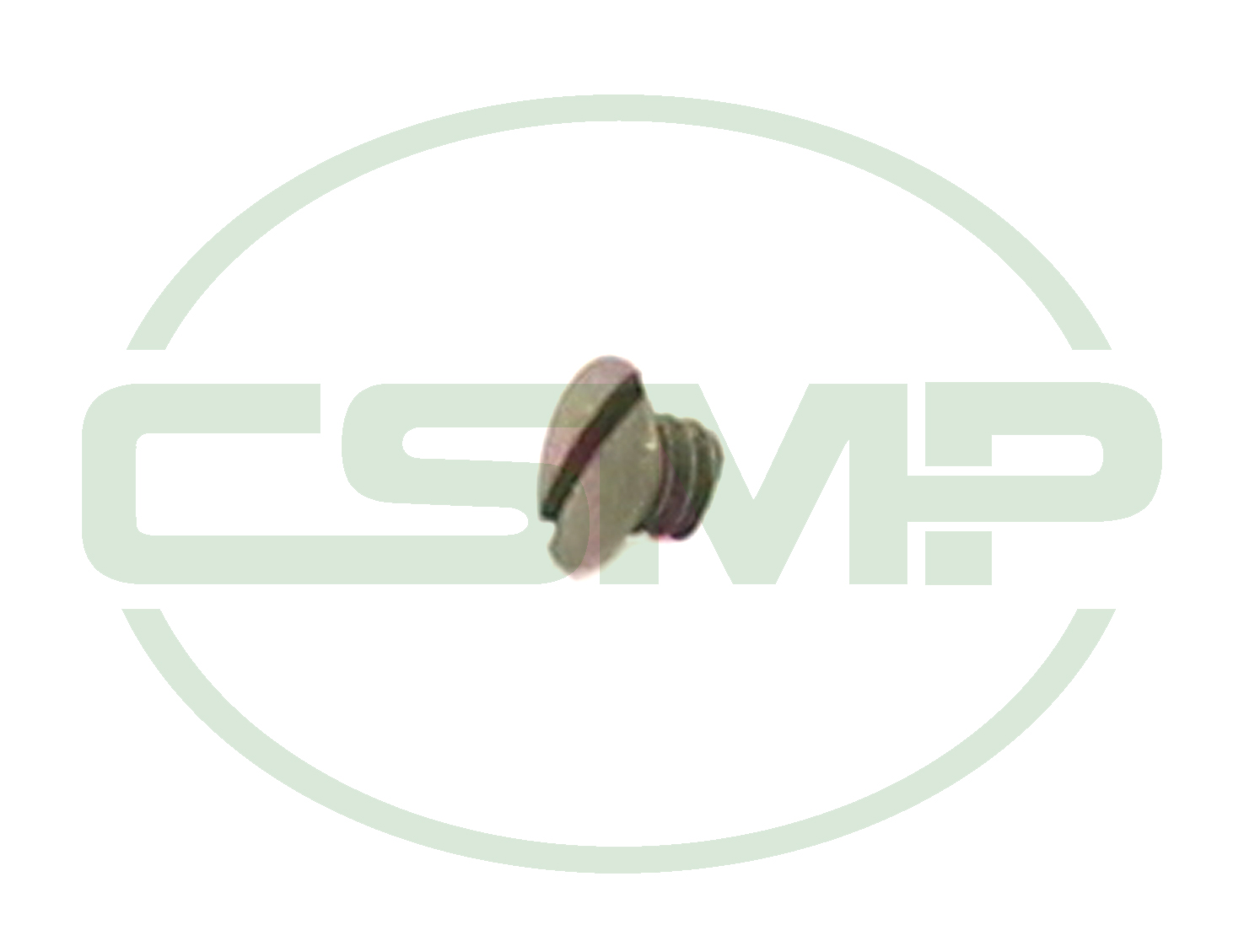 16407-11 TENSION SPRING FIXING SCREW SEIKO