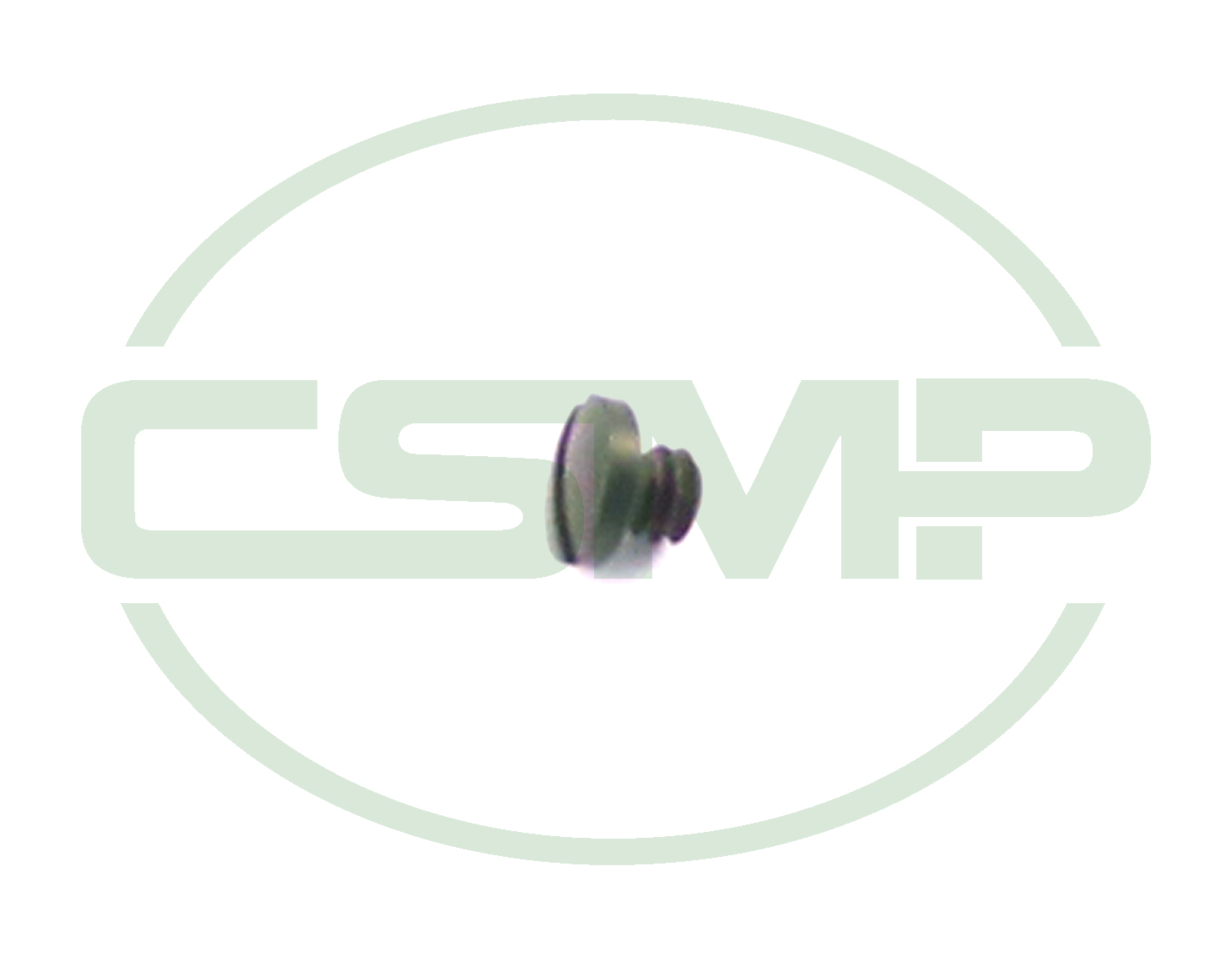 0211001129 B/CASE FIXING SCREW DURKOPP GENUINE