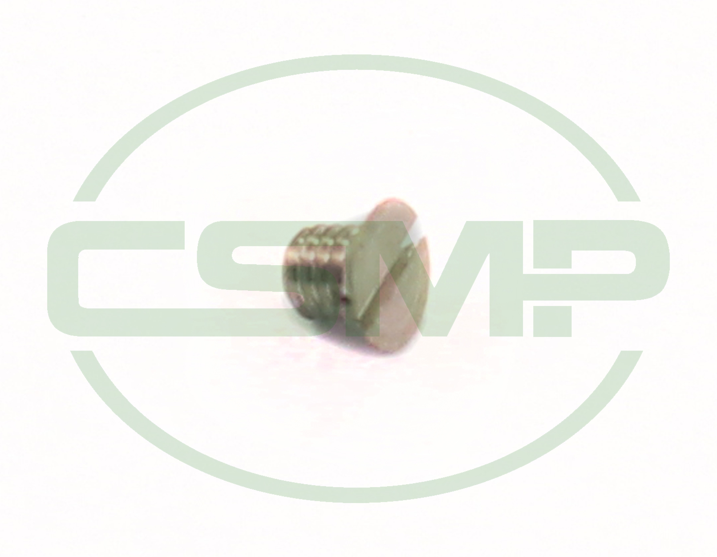 5066 SPRING PLATE SCREW RASOR DS503, DS504 CLEARANCE PRICE