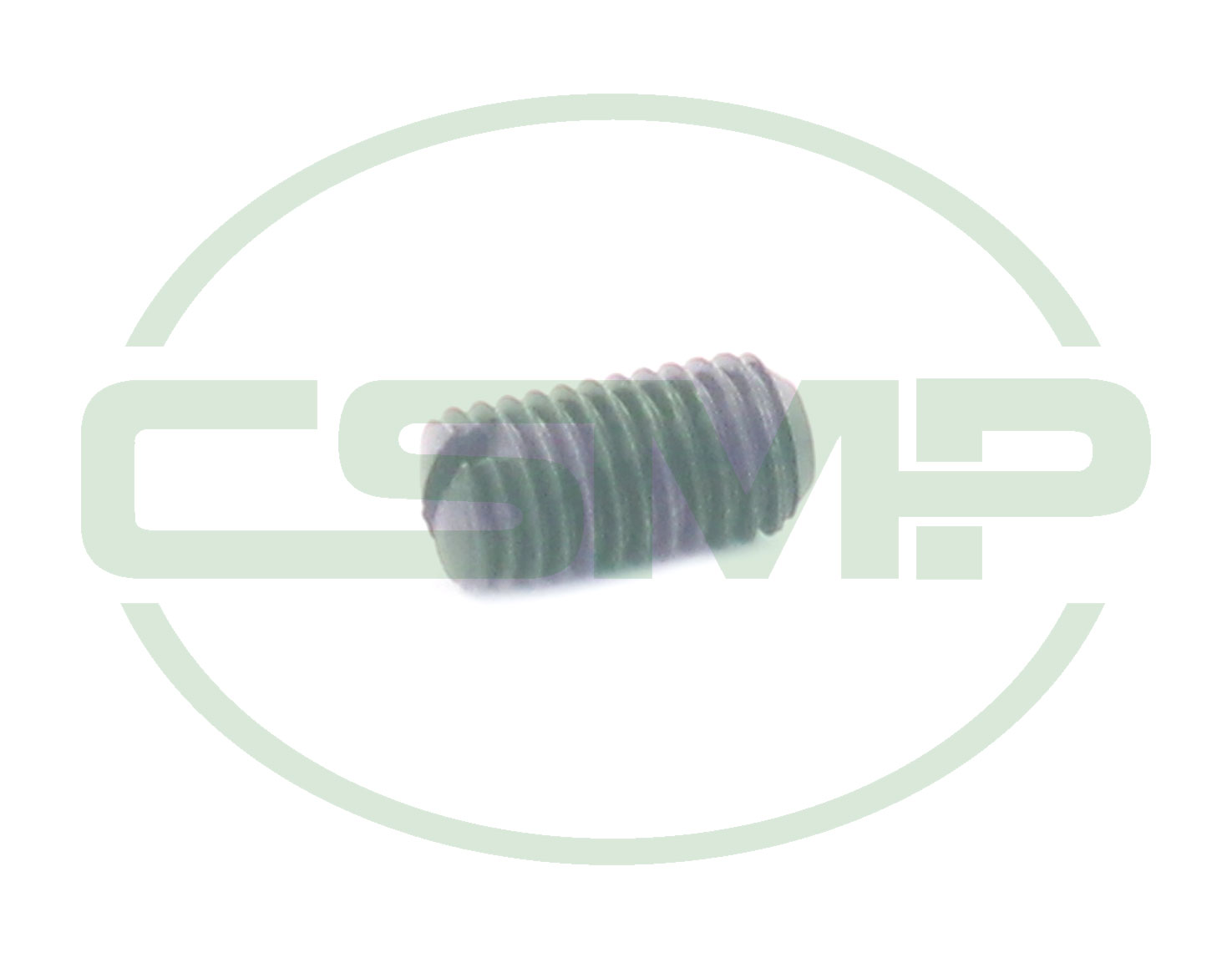 10573 SCREW SEIKO GENUINE