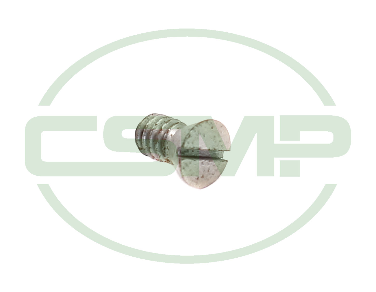 140019 SINGER SCREW