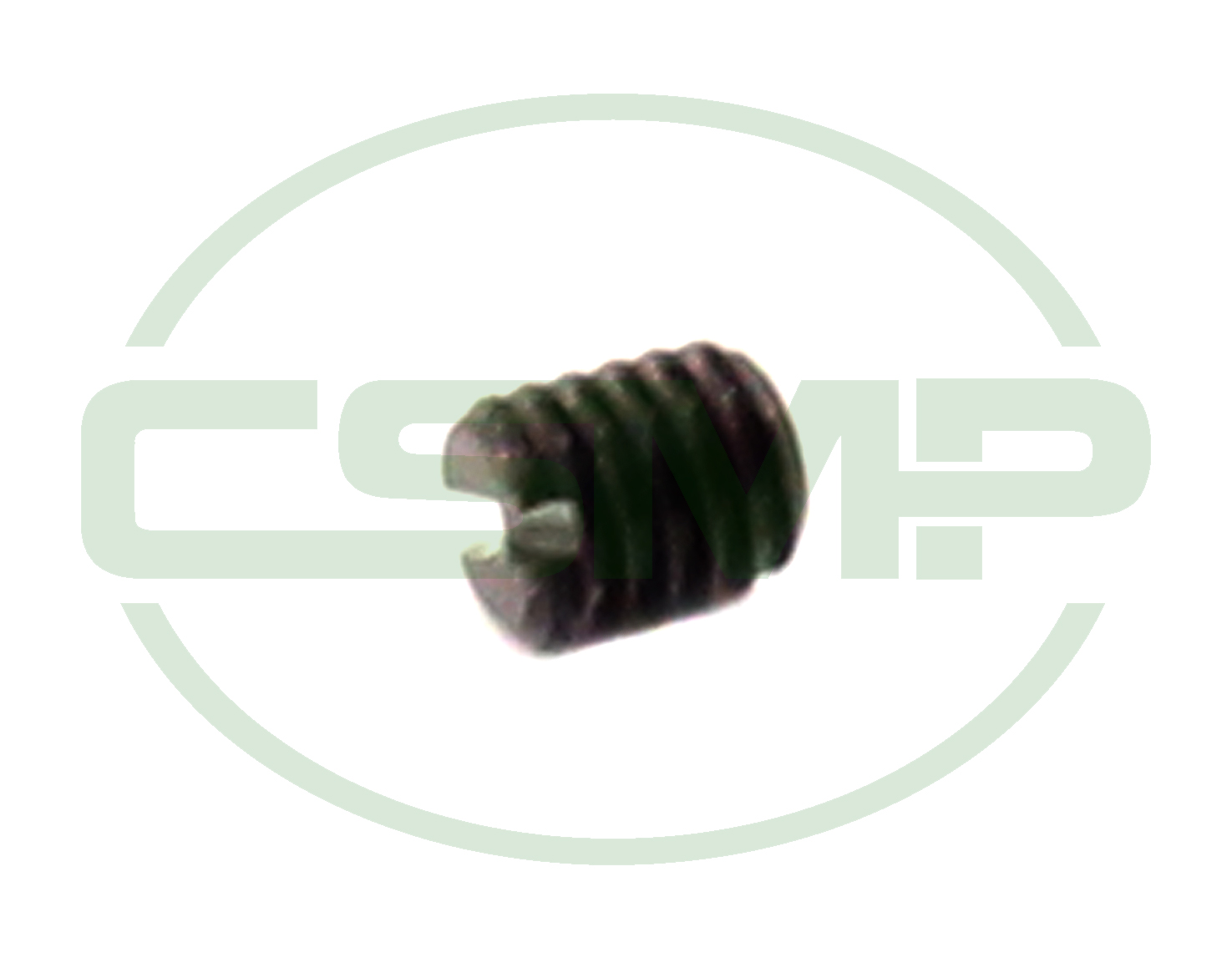 16243 SCREW SEIKO GENUINE