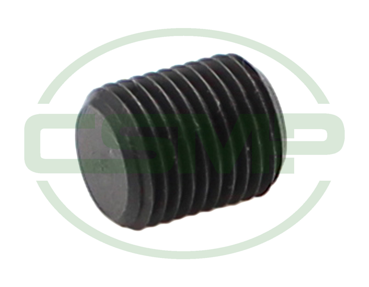 17019A SCREW (B) SEIKO GENUINE