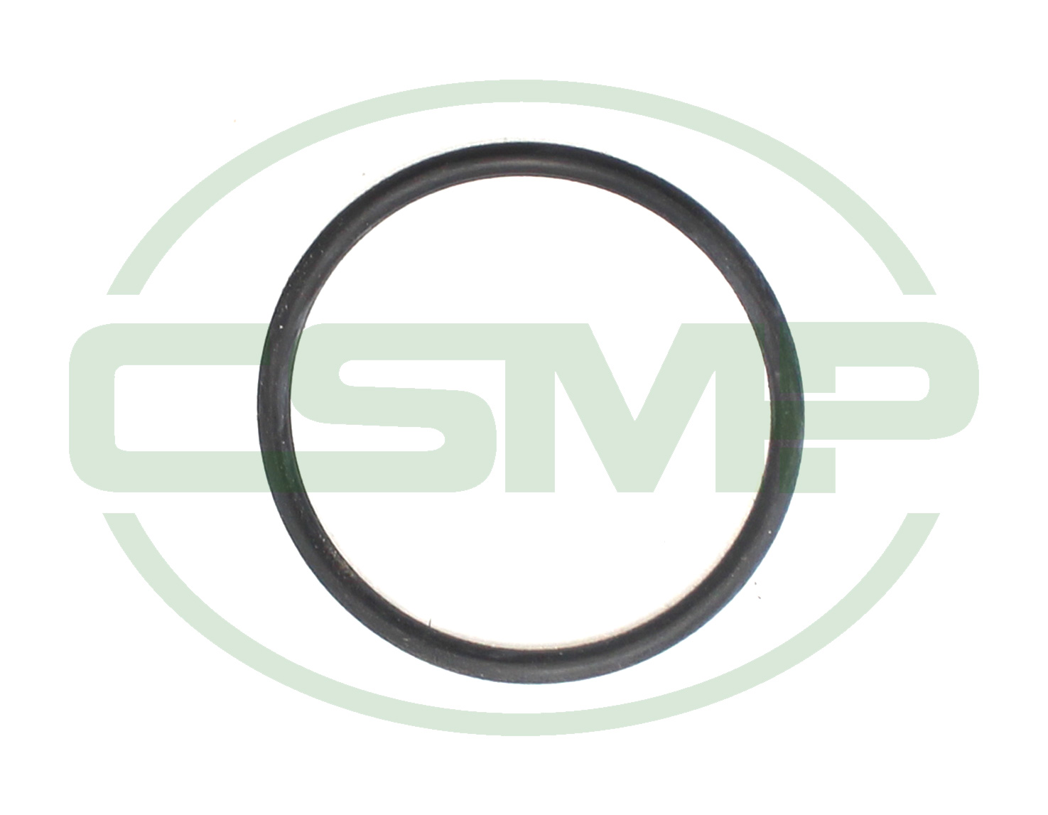 2300430 O RING FOR SIGHT GLASS PEGASUS EX GENUINE