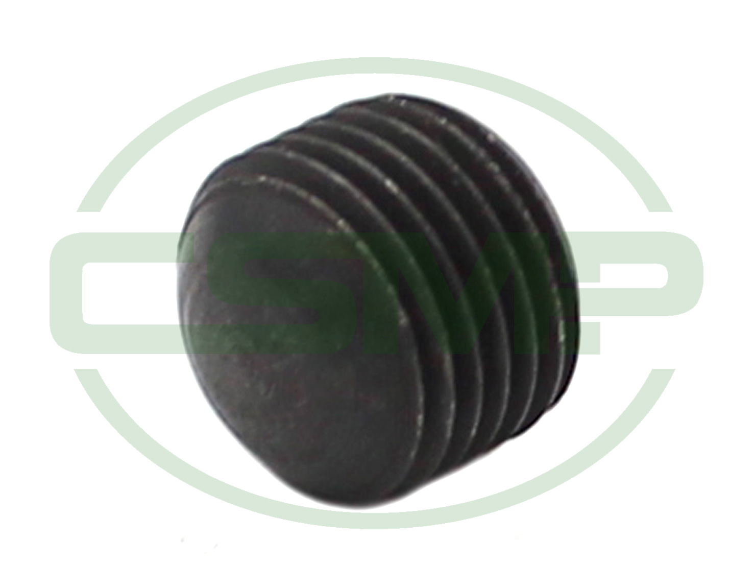 25641-A POSITIONING SCREW SEIKO LSWN28BL GENUINE