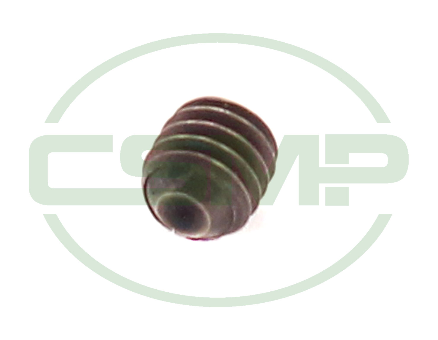 PL12 SCREW FOR PL13 RACING