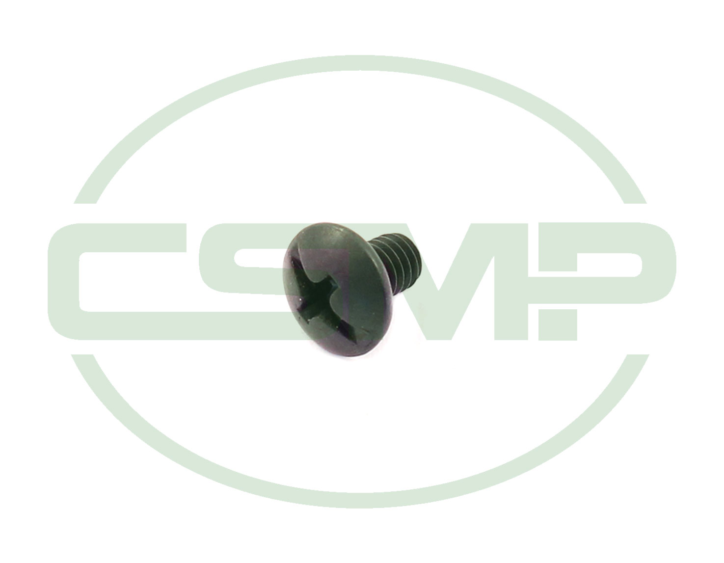 PL3 SCREW FOR GUARD RACING