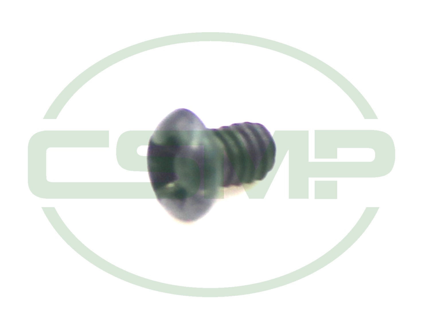 W22 GUIDE PLATE SCREW SANTIAN ST-50